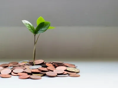 Financial Freedom